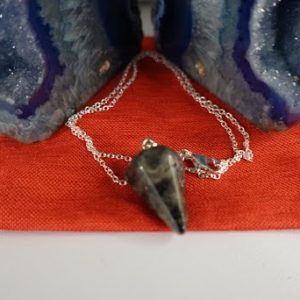 A small shark tooth necklace on a silver chain.