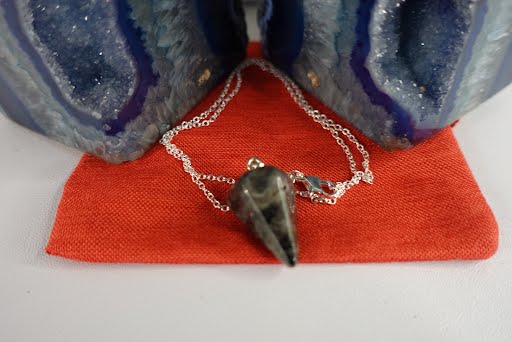 A small shark tooth necklace on a silver chain.
