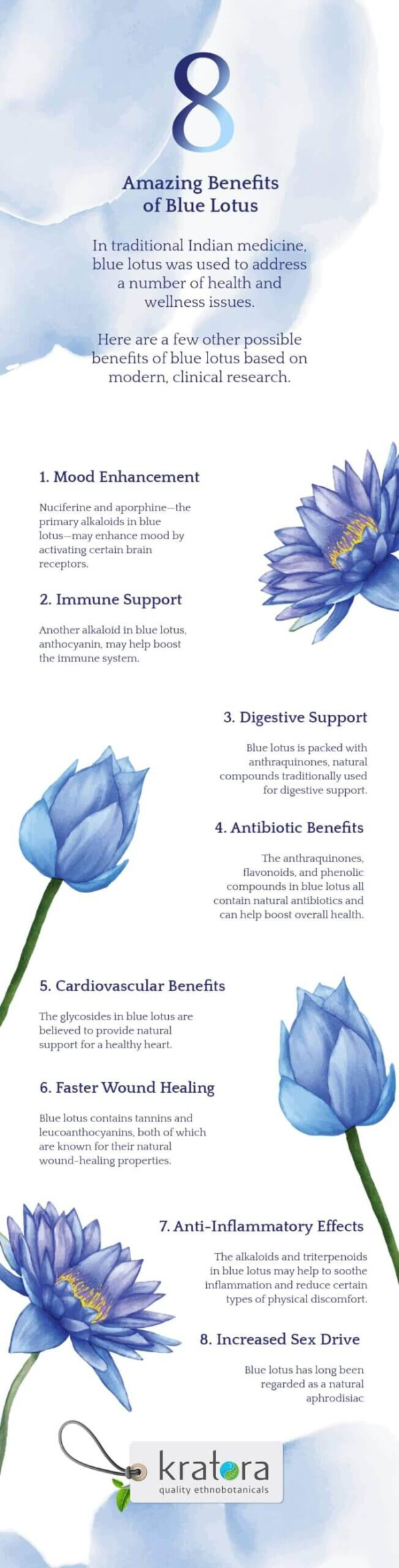 A blue flower with five different meanings.